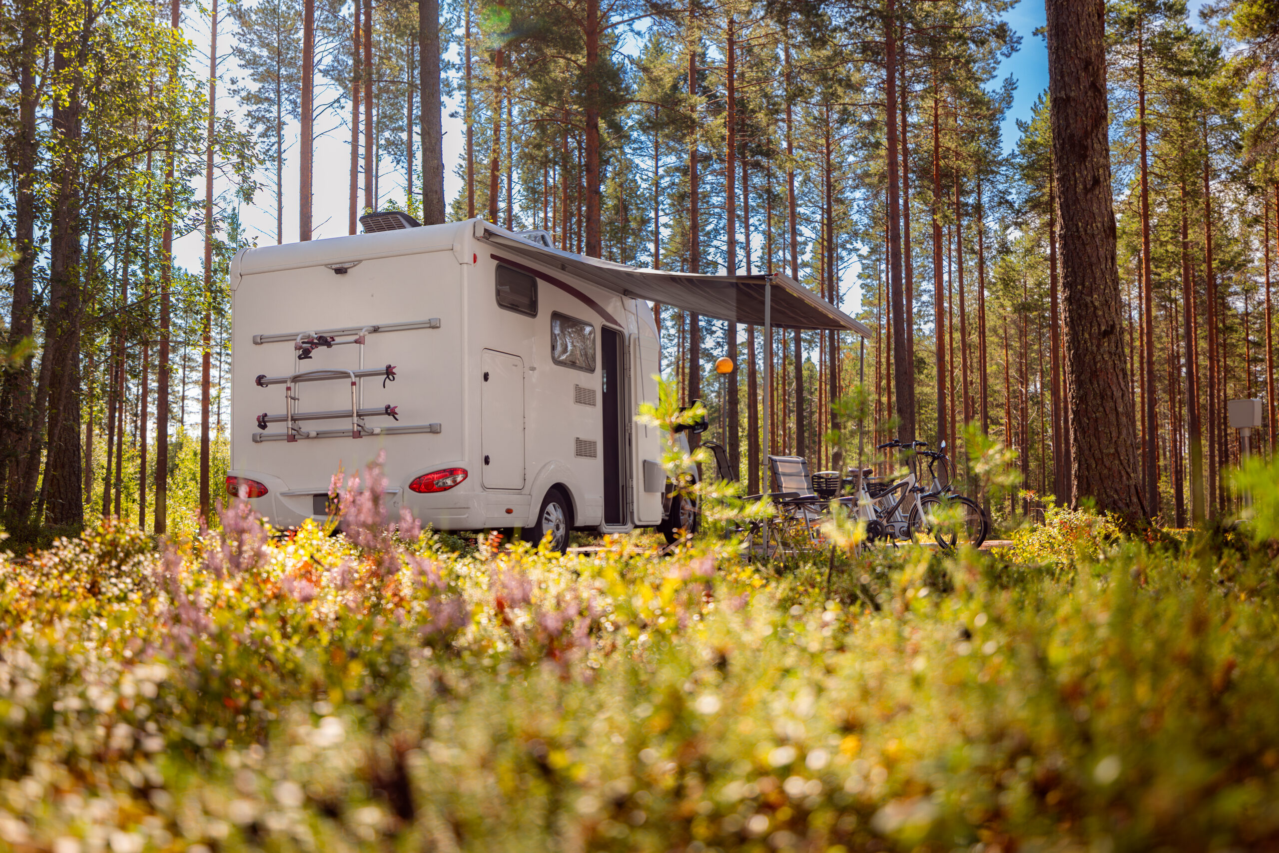 Buying a Holiday Ready Motorhome A 2026 Expert Guide to Stressless Travel